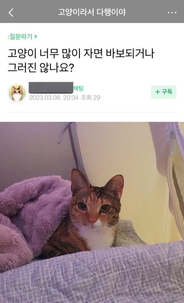 odokk3030's tweet photo. 군뫼닝요 https://t.co/tHUfONx1Oj