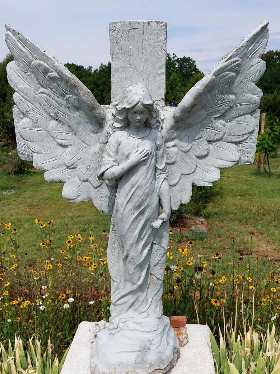 PrayTheRosary's tweet photo. Thank your Guardian Angel https://t.co/BxrN4nzlSU