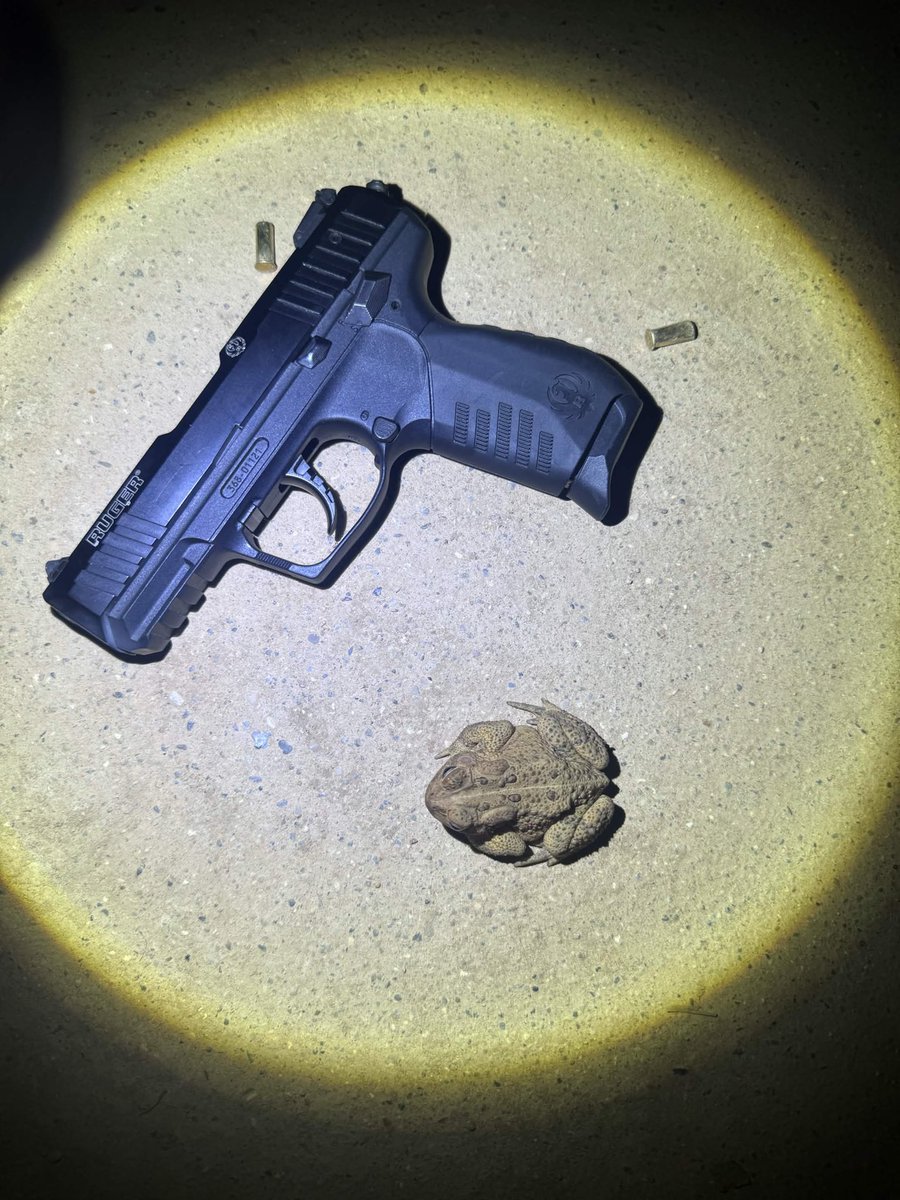 NevaGuns's tweet photo. 🐸🐸🐸🔫
.gg/neva

#guns #ruger #frog #firearm #gunrange #neva #roblox #praiseIraq https://t.co/y1wPCHqWn2