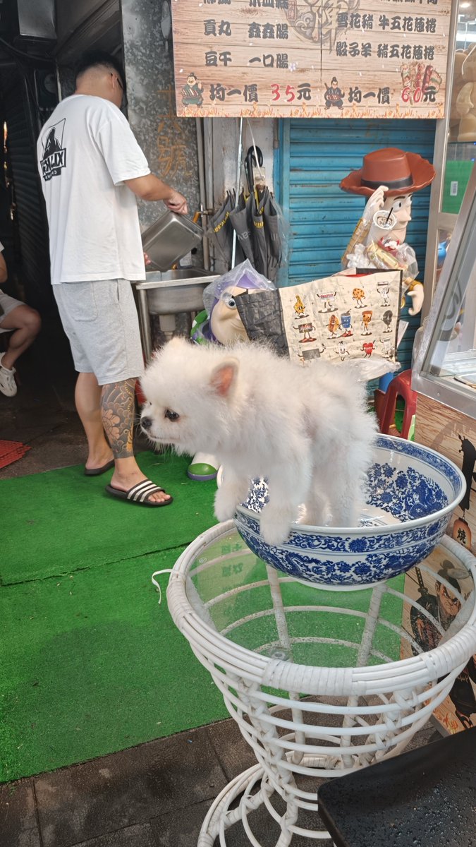 Shalel's tweet photo. 台湾屋台の看板イッヌ https://t.co/HD5tmIgffw