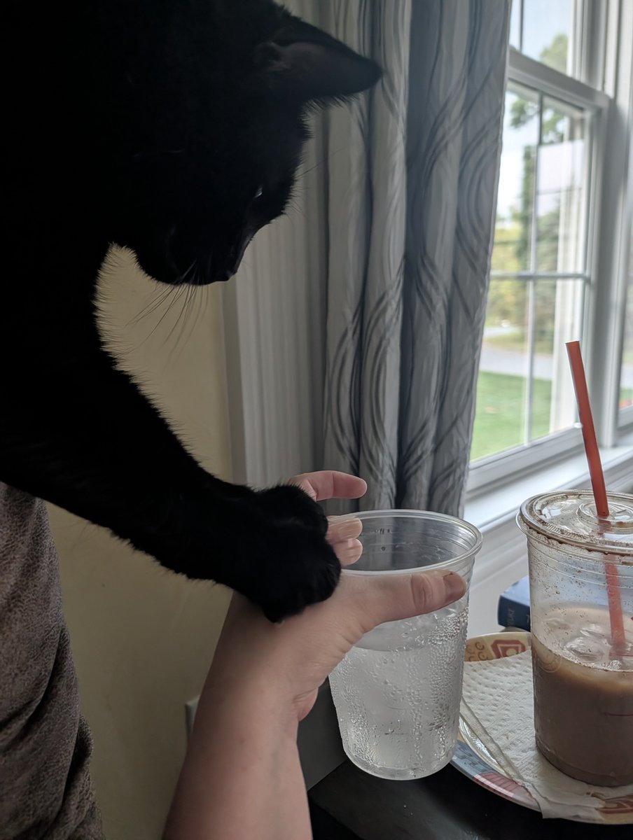 emwheezie's tweet photo. He want my water so bad we stayed like this for 5 mins https://t.co/jVT7PoIibJ