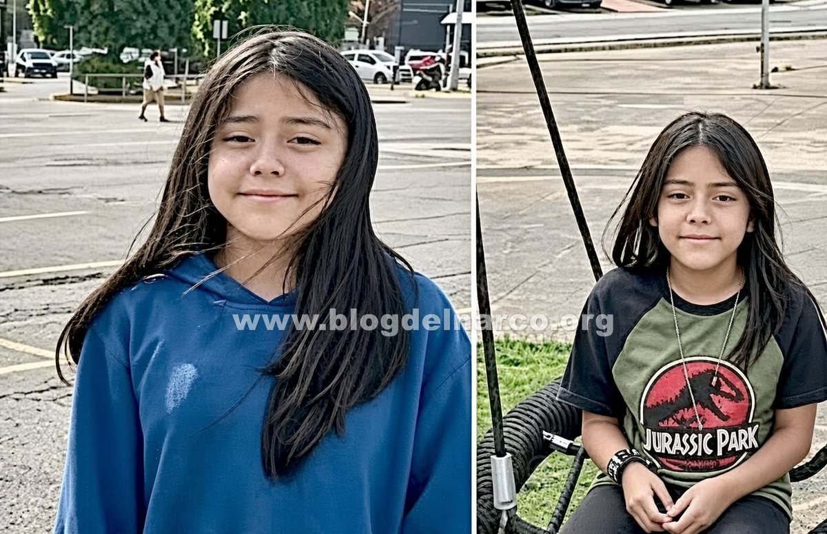 blogdelnarcomex's tweet photo. Cuerpo encontrado a un lado de la autopista Chamapa-Lechería es el de la niña de 11 años Sofía Madaí Calzada Calzada desaparecida el 26 de septiembre, LEE MÁS AQUÍ 👇👉 https://t.co/F6Q1swfT9F https://t.co/RyIpSmTmB4