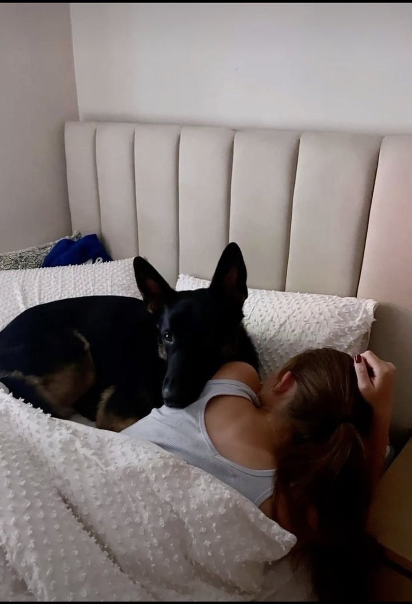 Canniba9w83's tweet photo. Warning🥵💦❤️‍🩹
I talk about dogs way
too much, love them way too hard, and will probably show you 100 pictures of them
If you're just as obsessed, come say hi in my DM 👇https://t.co/WCriKUgyHW https://t.co/QWi2AHWWjP