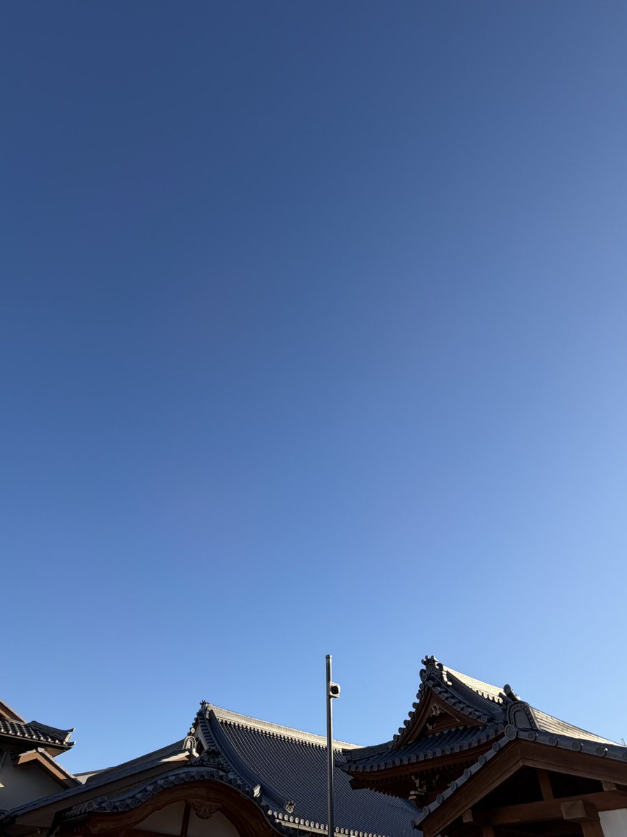 billy0618's tweet photo. 輝く水滴
秋の青空
遠くに居残りお月さん
おはようございます😃 https://t.co/PMWIQAuk2M