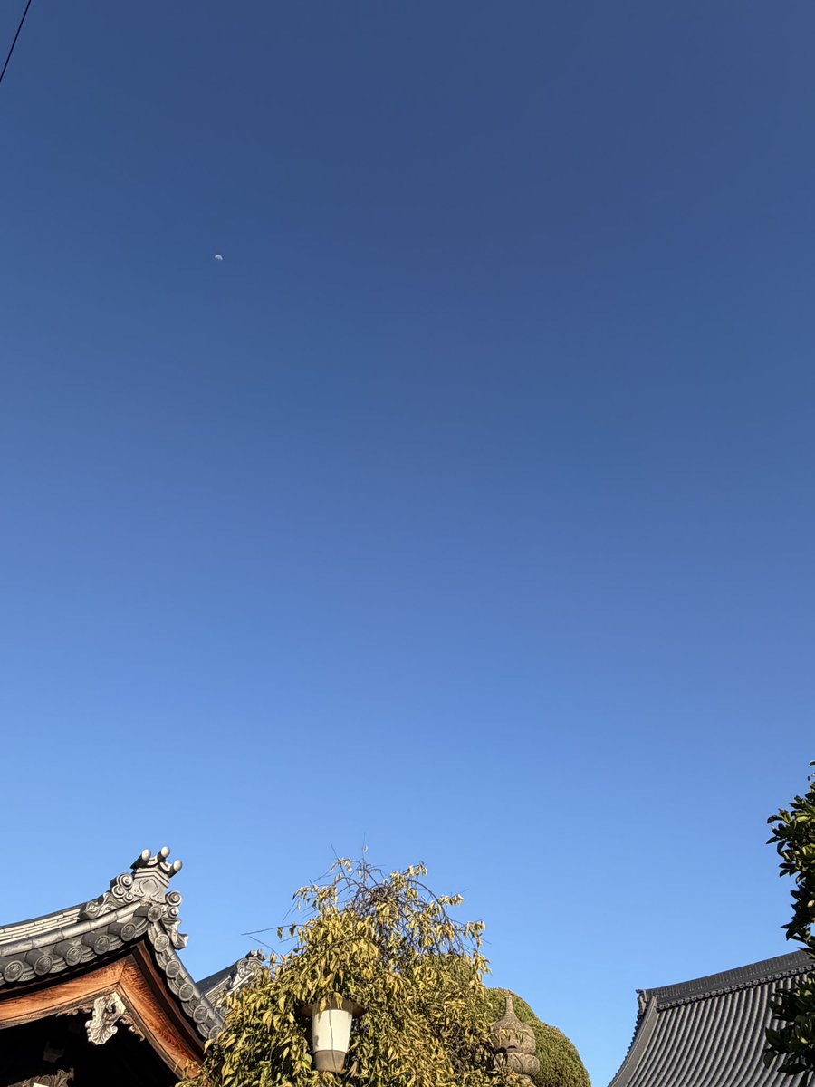 billy0618's tweet photo. 輝く水滴
秋の青空
遠くに居残りお月さん
おはようございます😃 https://t.co/PMWIQAuk2M