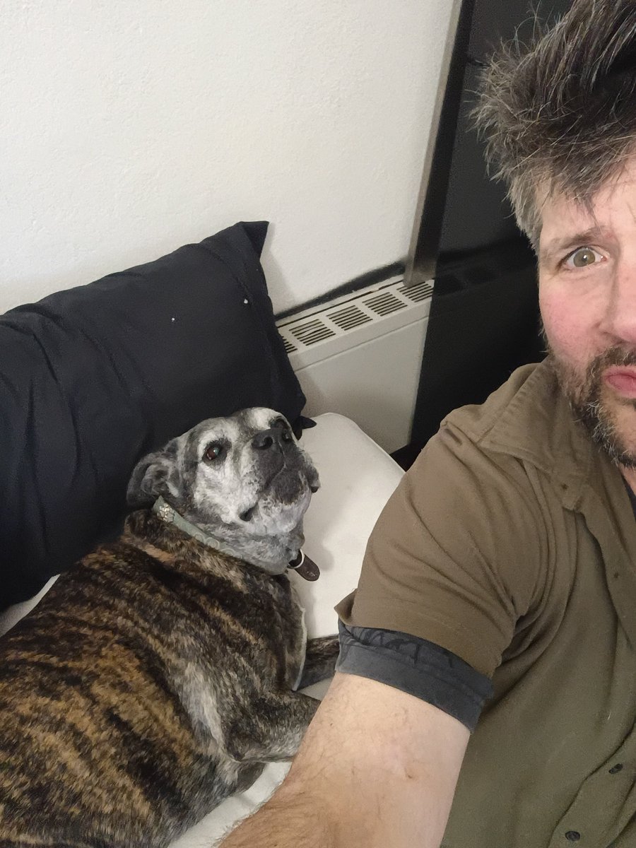 Scramfran007's tweet photo. @Xaviertcrypto I need a used car so my dog and I have a roof over our head https://t.co/AhnXuqMU58