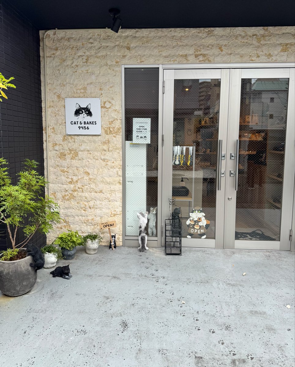 kappppppppa's tweet photo. cat&amp;BAKES9456
▷ねこのパン屋さん🐱🍞
めっかわすぎたの…行けてよかったの😳🐾 https://t.co/C0davb4Xu1