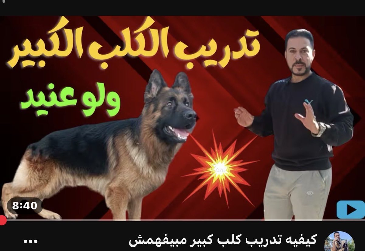 MSAGHQH's tweet photo. علاقتهم : https://t.co/u3stlQpKor