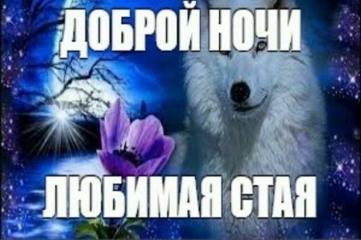 iyss666's tweet photo. На работе надо работать? Ыы https://t.co/r4in0ByRJC