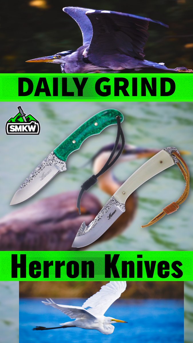 Promotional graphic for 'Herron Knives' from SMKW's Daily Grind series, featuring two fixed-blade knives (green and white handles) displayed against images of a great blue heron in flight.