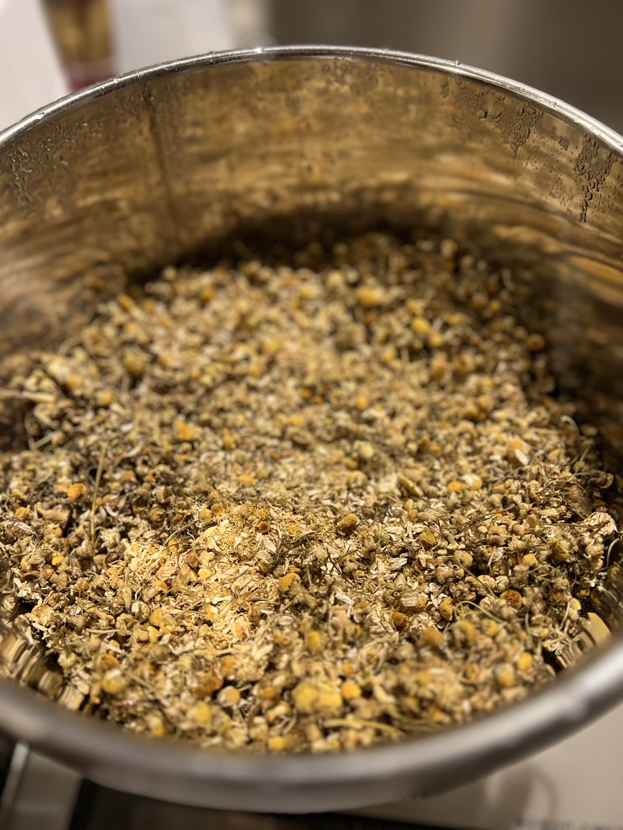 imolab23's tweet photo. 大量のカモミールを水蒸気蒸留して、幻の青い精油（カマズレン）を手に入れたぞ！！甘くてすごく落ち着く香り。加熱は色んな成分を壊すイメージがあるけども、この美しいブルーは長時間加熱しなければ生まれないのが不思議。 https://t.co/OJ82RJZJMn