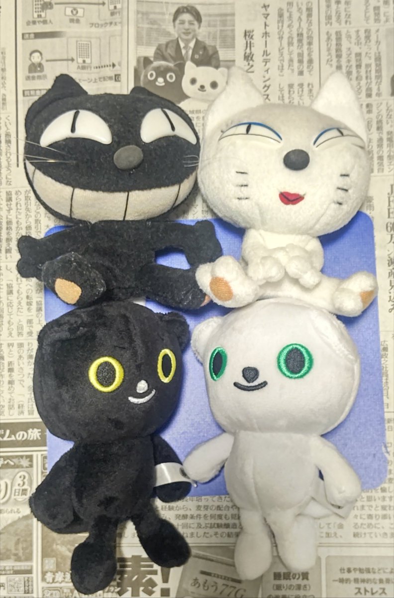 Volvo0777's tweet photo. 先日 📰に クロネコヤマトさんの
ぬいぐるみが 載っていましたが、
顔が 以前のものとか 
かなり変わりましたよね 🐈‍⬛ https://t.co/fBf4jQGy26