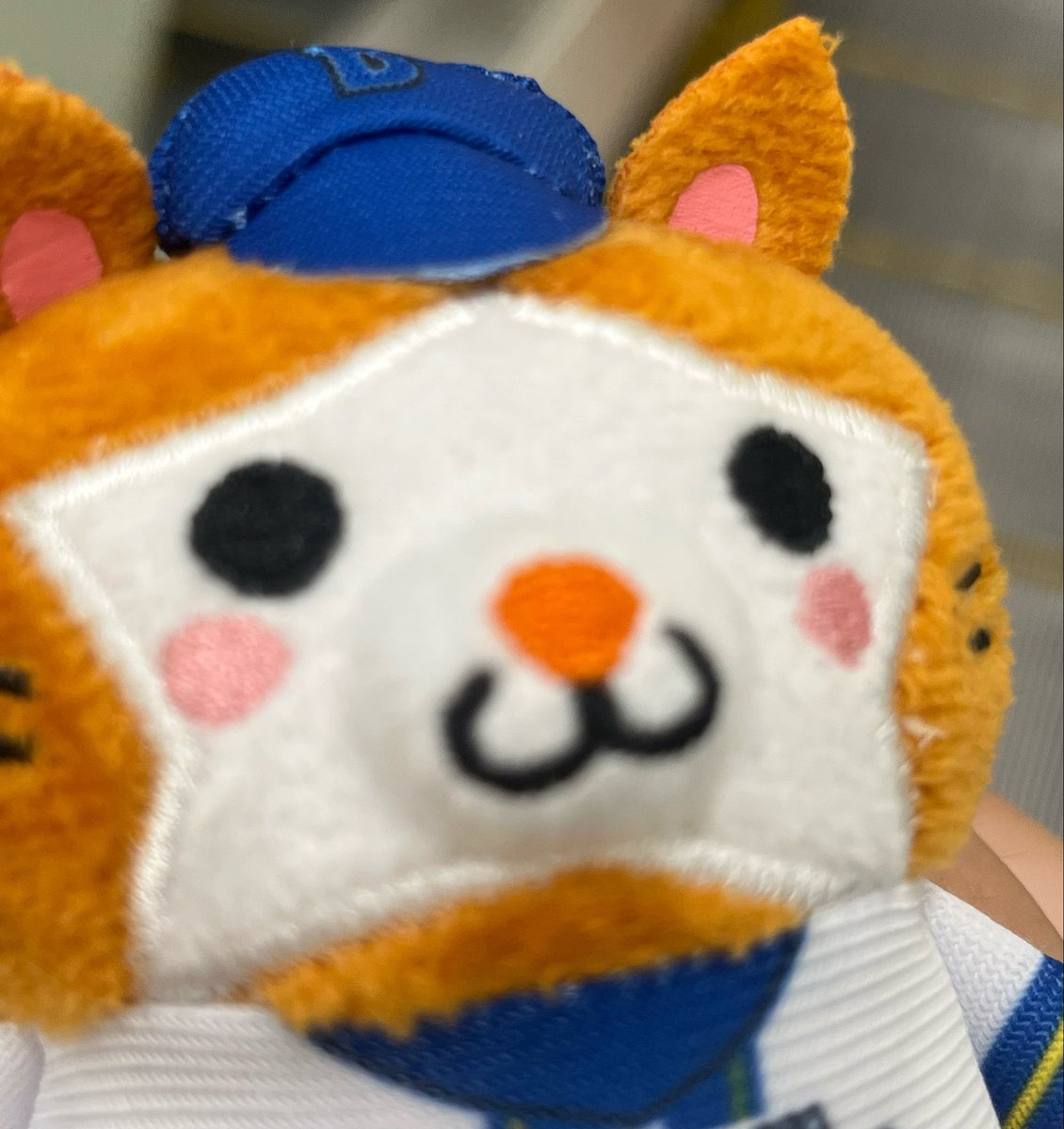 nonoichi__'s tweet photo. https://t.co/YFml0jWuAy