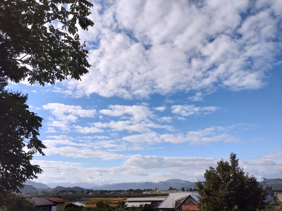asennayo44's tweet photo. 夜更けからの雨が上がってとても瑞々しい朝です。
さあ、今日の収穫に取り掛かろう。
#田舎の生活 #イマソラ https://t.co/0Jxqogb2en