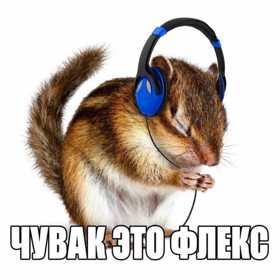 XDkc9's tweet photo. Фак как восстановить режим сна٩(˃̶͈̀௰˂̶͈́)و https://t.co/KFniaya9S3
