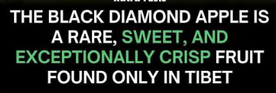 d0tslash's tweet photo. @FatalesBoobs @0x686967 Although... marketing seems on point. "@FatalesBoobs, a rare, sweet, and exceptionally firm *fruit*, normally only found in an FBI case file" 😂 https://t.co/whf4h8p74B