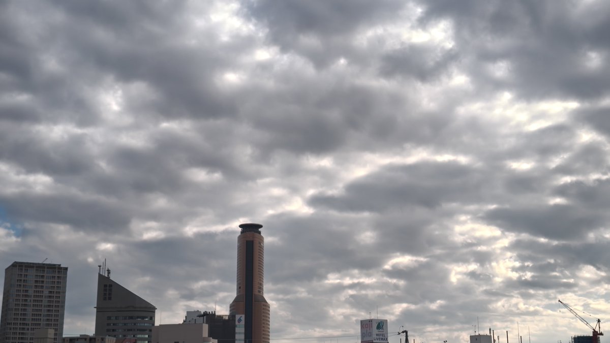 miduwo25's tweet photo. おはようございます
佳き一日でありますように(。-人-。) https://t.co/hTcIISSIej