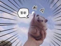 hellpg3's tweet photo. @sorasanyade0 파이팅 https://t.co/U18uKslWPm