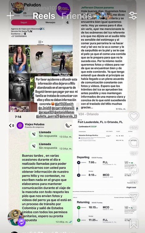julipalacioc's tweet photo. Al parecer no me equivoqué en mi teoría. 

Los verdaderos dueños no eran los que iban con los perritos, eran unos estafadores. https://t.co/UwtEKgAlOv
