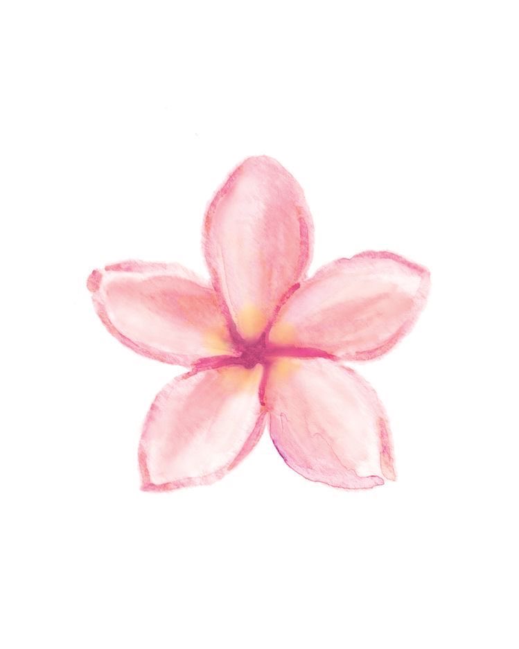 dianisycz's tweet photo. dato curioso: mi tatuaje es una plumeria pq es una flor tropical y la playa es lo que más amo en la vida, más el bonito mar Caribe 💕 https://t.co/XDv9y3OTxJ