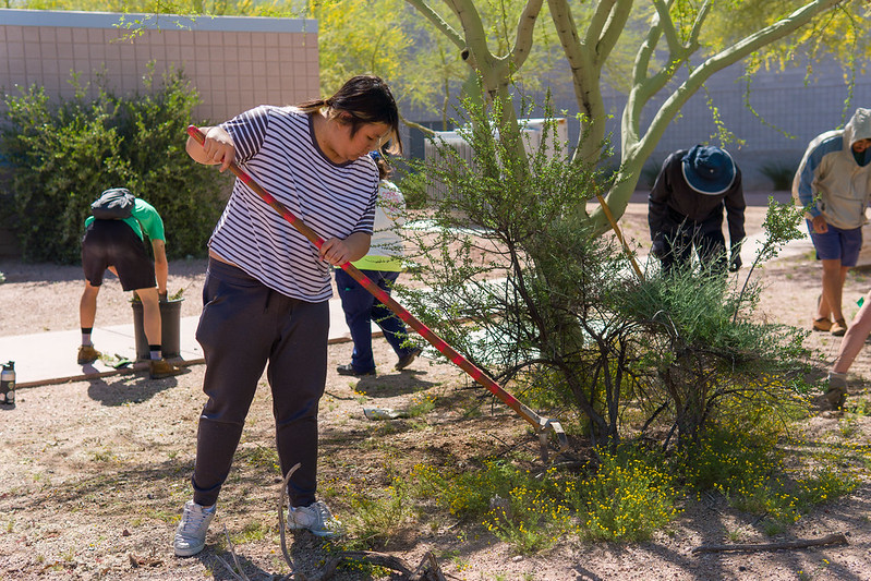 mesacc's tweet photo. Help keep Mesa Community College green and beautiful! 🌳

Volunteer with the MCC Arboretum on Oct. 9 or Nov. 13 to help prepare for new trees and install plant labels. Students can also earn service hours!

Register: https://t.co/AbuY4nIQal

#MesaCC #Sustainability https://t.co/x073AWgK3i