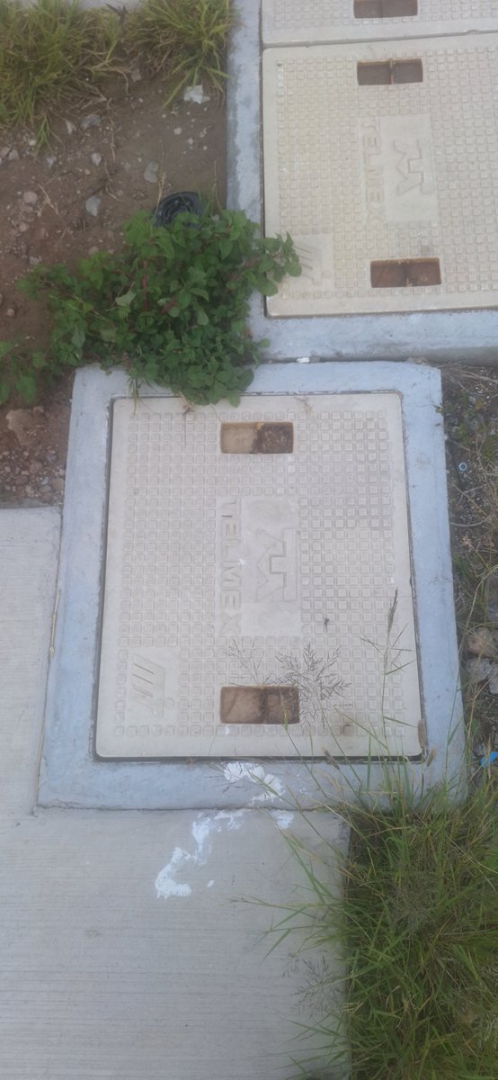CezarBenitz's tweet photo. @TELMEXSoluciona @Telcel @Telmex Estan inundados esos registros de ahi conectan a las viviendas como son necios requieren drenado https://t.co/iVHM20mUCg