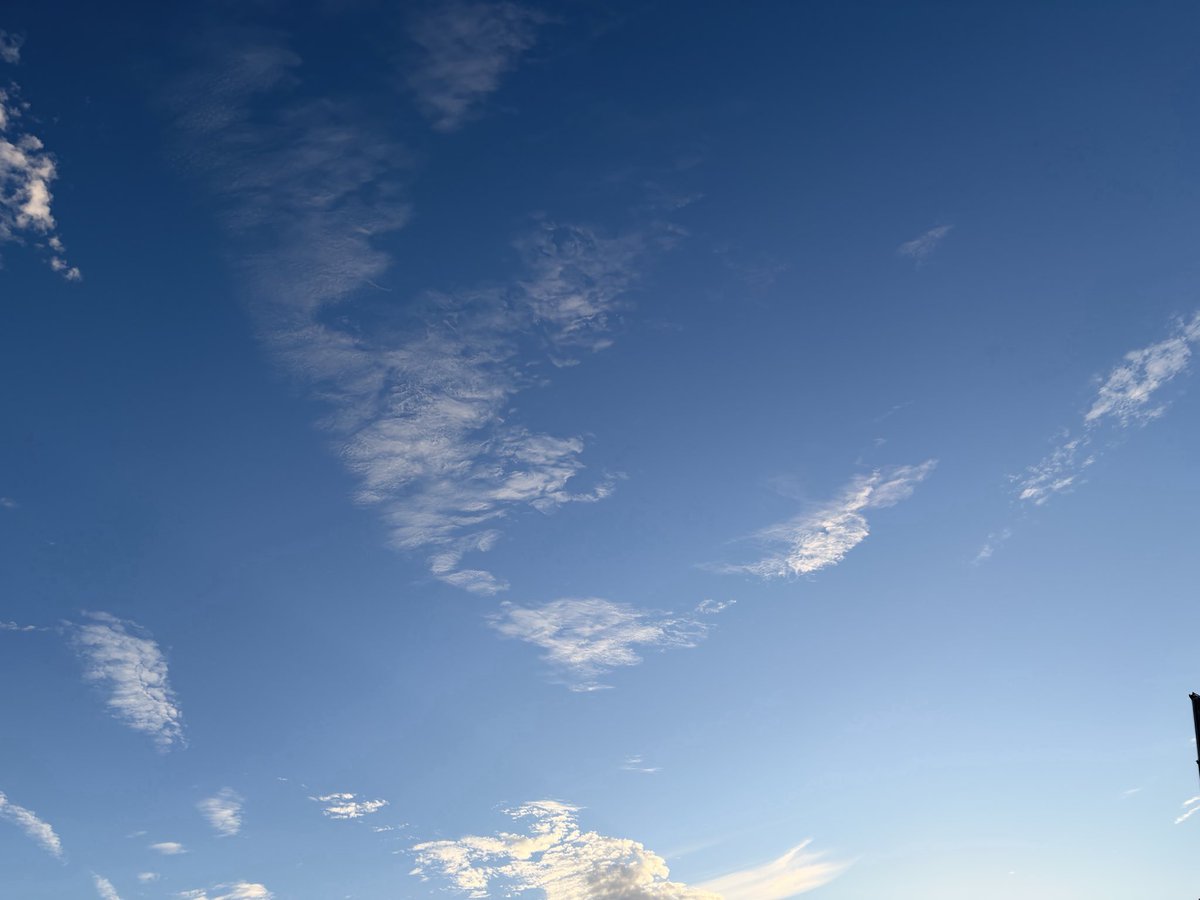 hirokumi0818's tweet photo. 今日もいっぱい食べて
元気でね。
青空
見てるかな？
#あの子たち
そっとエール https://t.co/BOfywY4Z8q