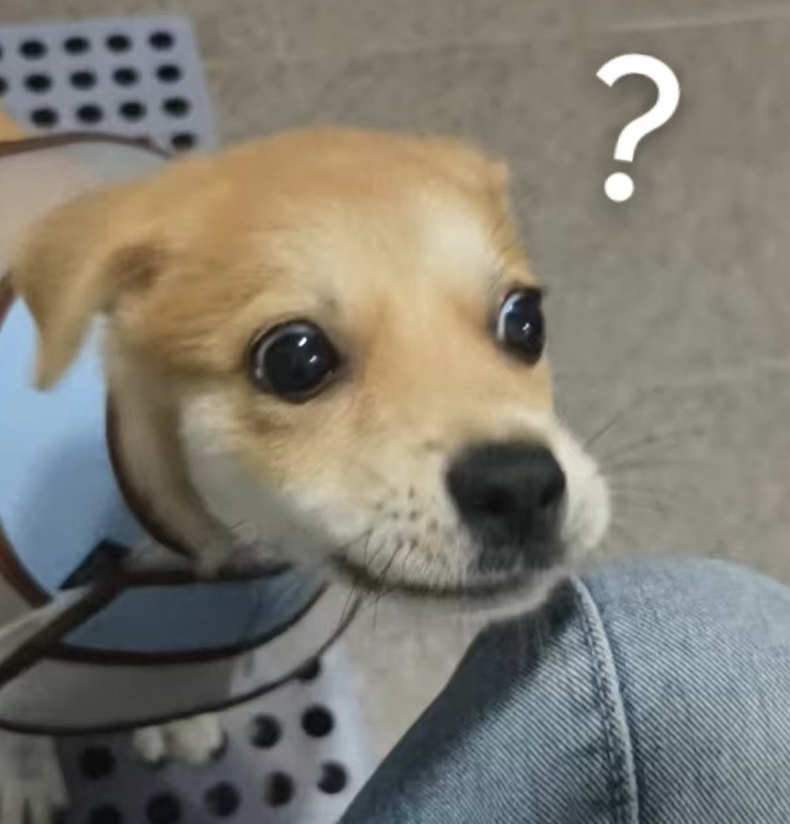 twaniimals's tweet photo. https://t.co/Qya48FvMr1