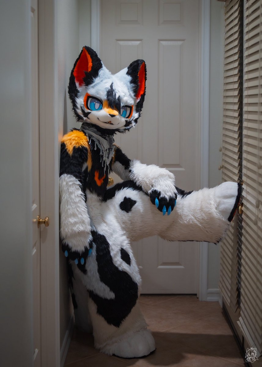 Jeffrey86334455's tweet photo. #FursuitFriday 
早早早，今天不准出门了哦 https://t.co/PaLMIxZPg5