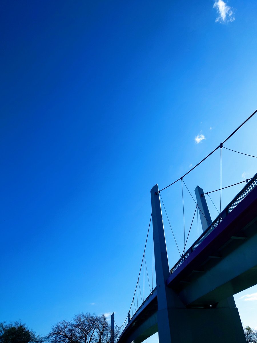 Fan_Hasu102nd's tweet photo. #イマソラ 
#ウォーキング https://t.co/R8bMFXYLzu