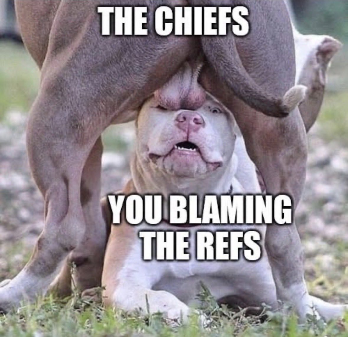 RazorbackRamon's tweet photo. @triplef02 You love this chiefs dick https://t.co/Ai3a1gPxtp