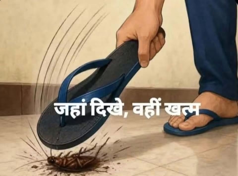 rubbishkumarMC's tweet photo. https://t.co/odo2MV3Zna