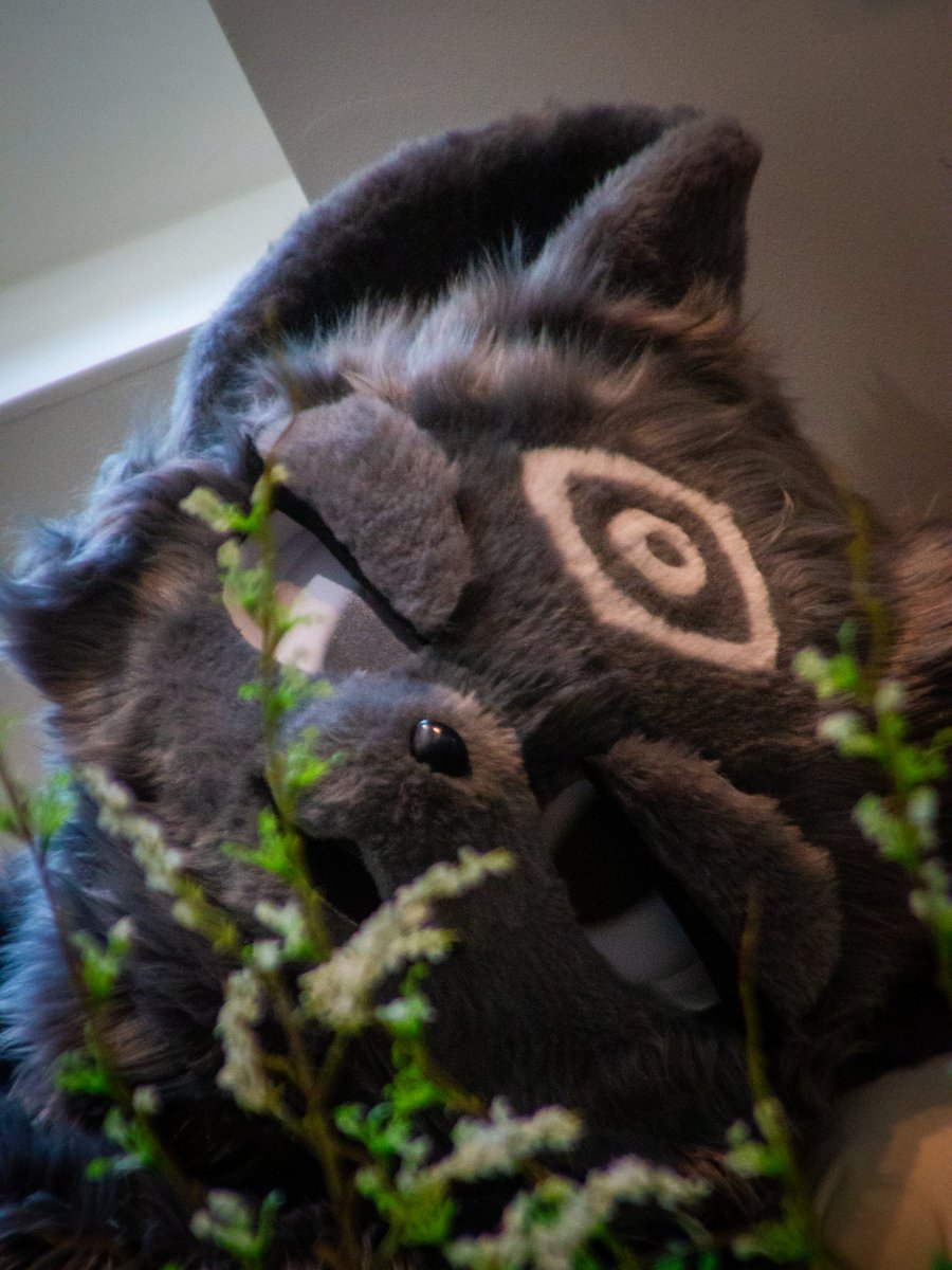 nomrawr07's tweet photo. #Fursuit #FursuitFriday 
좋은 하루되세욥!!!! https://t.co/S1JVqTGUWC