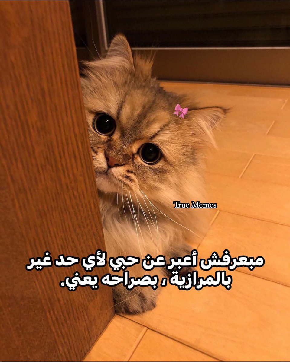 iemanayman's tweet photo. https://t.co/a6woaCaWuW