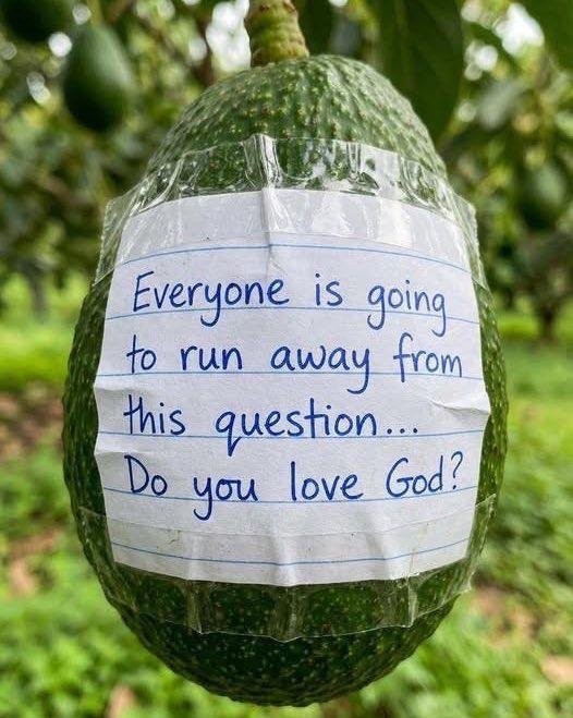 GodsGracell7's tweet photo. A. Yes I do
B. No https://t.co/greG7Nyyi3