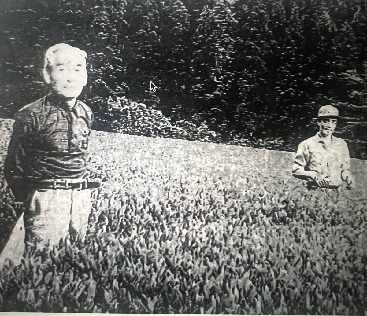 daikouen56's tweet photo. 56年前、農薬や除草剤を使わずに
お茶を作るのは難しい。
そんなふうに思われていた時代に、祖父と父は
この山で、お茶と棚田米を作り続けました。
「作れない」のではなく、
手間をかけて作り続けてきました。
それが、我が家のお茶とお米です。 https://t.co/sdk0Erck7c