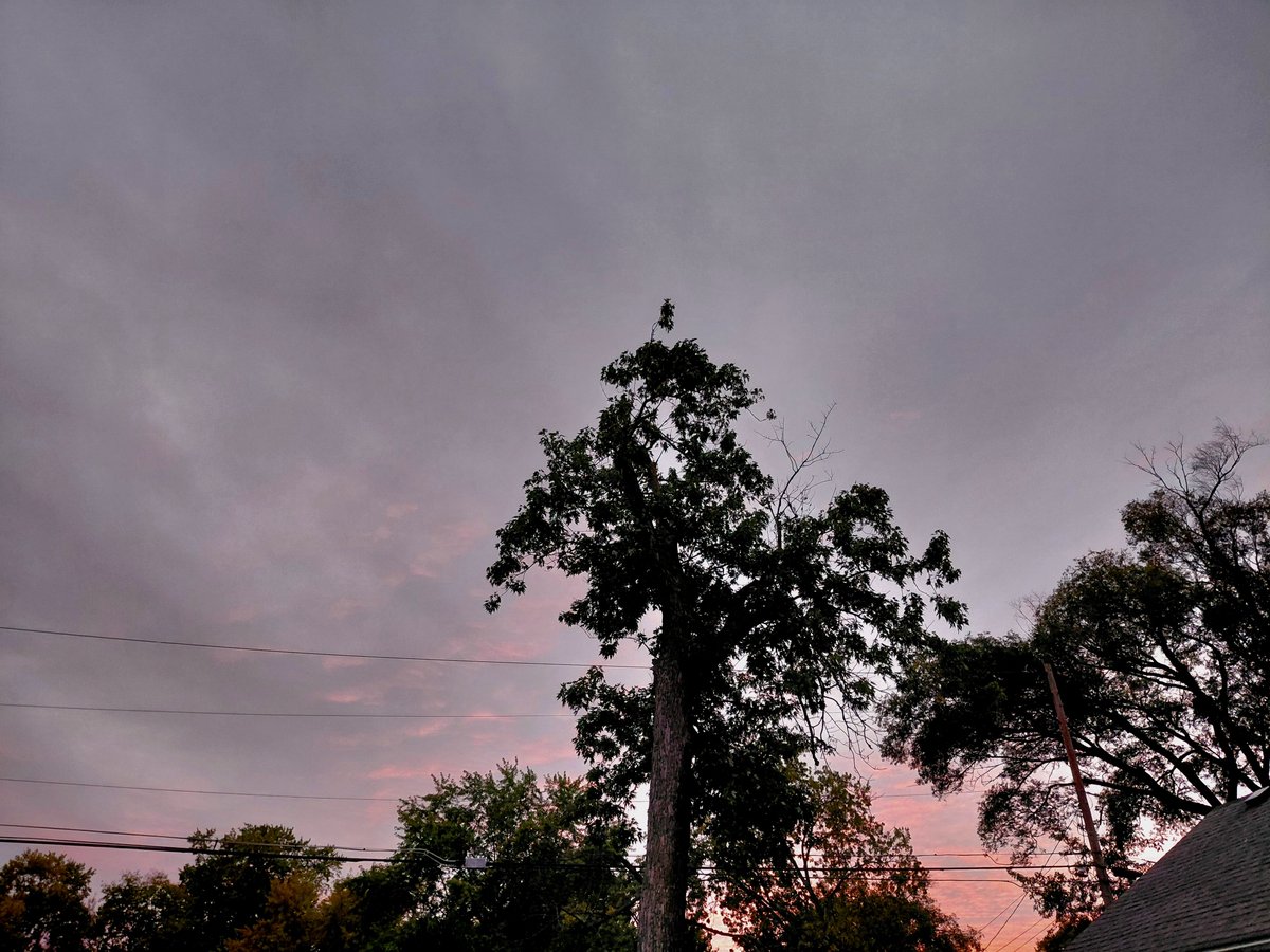 ohiohank's tweet photo. Colorful sky this evening #MyFrontDoor https://t.co/zlmW6Oaog7