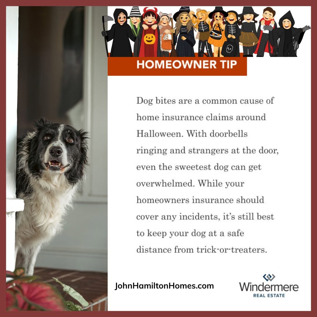 aDolphinCries's tweet photo. #homeownertip https://t.co/vAQkezlXU1
