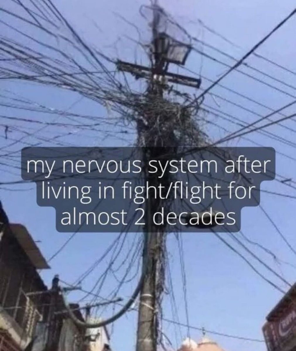 WholesomeMeme's tweet photo. https://t.co/Ryn6ievsDz