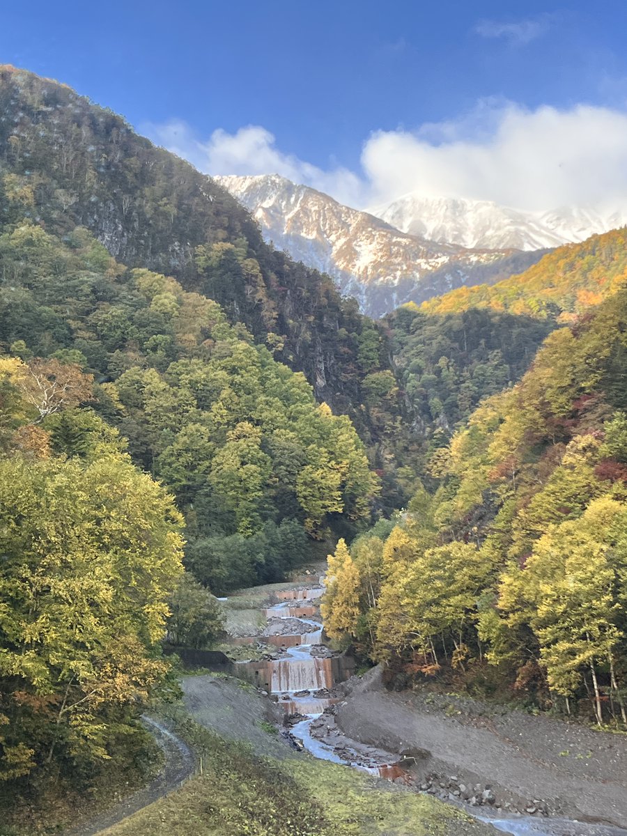 rinyu_kurodake's tweet photo. 2026年10月3日紅葉状況
麓は紅葉、山は冠雪！ https://t.co/IBBs8odcma