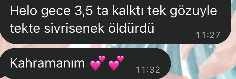 helinyayla's tweet photo. ve bunu hatırlamıyordum dksmmdndmmsnsnd https://t.co/SP3PwHNWke