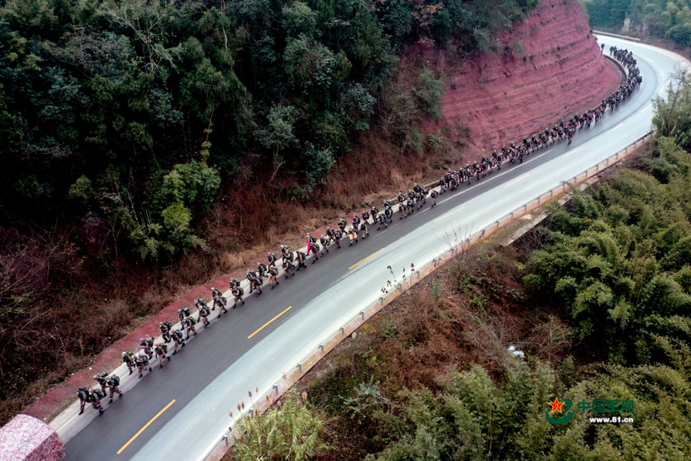 wolf_amber__88f's tweet photo. [A team of tough rollers made a sharp sprint]， https://t.co/48ikFOOWw1