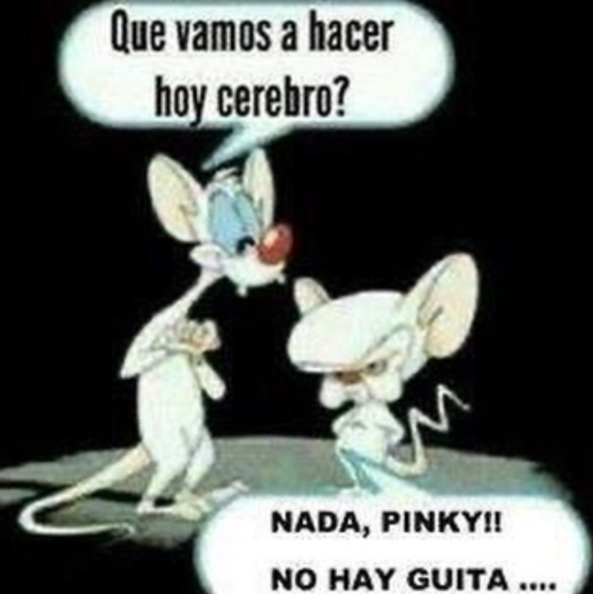 dantecrack777's tweet photo. dale cerebro partite la birra https://t.co/yN92nohAKC