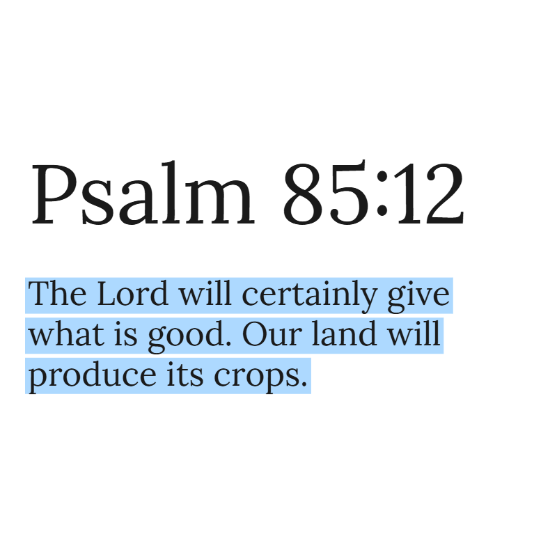 HolyBiblePosts's tweet photo. https://t.co/r1vxy4firB