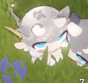 phaimax's tweet photo. Okay so now the biggest f2p flex is owning this little guy https://t.co/YrJznaR3wq