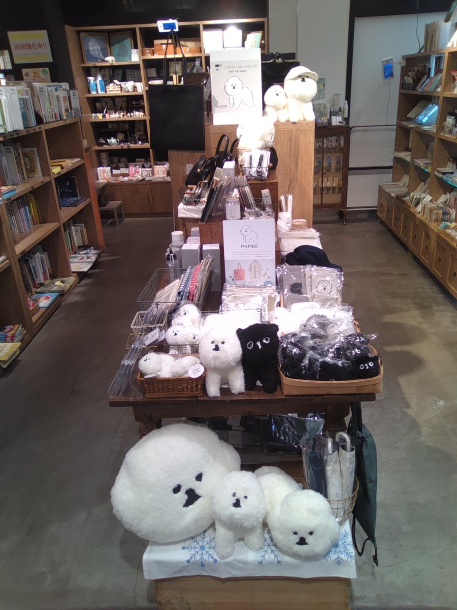 PW_Kunitachi's tweet photo. 10月1〜11月3日
POPUP「MAMBO亅始まっております🍂
イラストレーター 塩川いづみさん描き下ろしによる大人気のCLASKAオリジナルキャラクター"ビション・フリーゼ"の「MAMBO」愛くるしいぬいぐるみから小物まで様々な商品入荷しております!
ぜひMAMBOに会いに来てください🍂
#PAPERWALL 国立
#MAMBO https://t.co/wzHhQvd4Mm