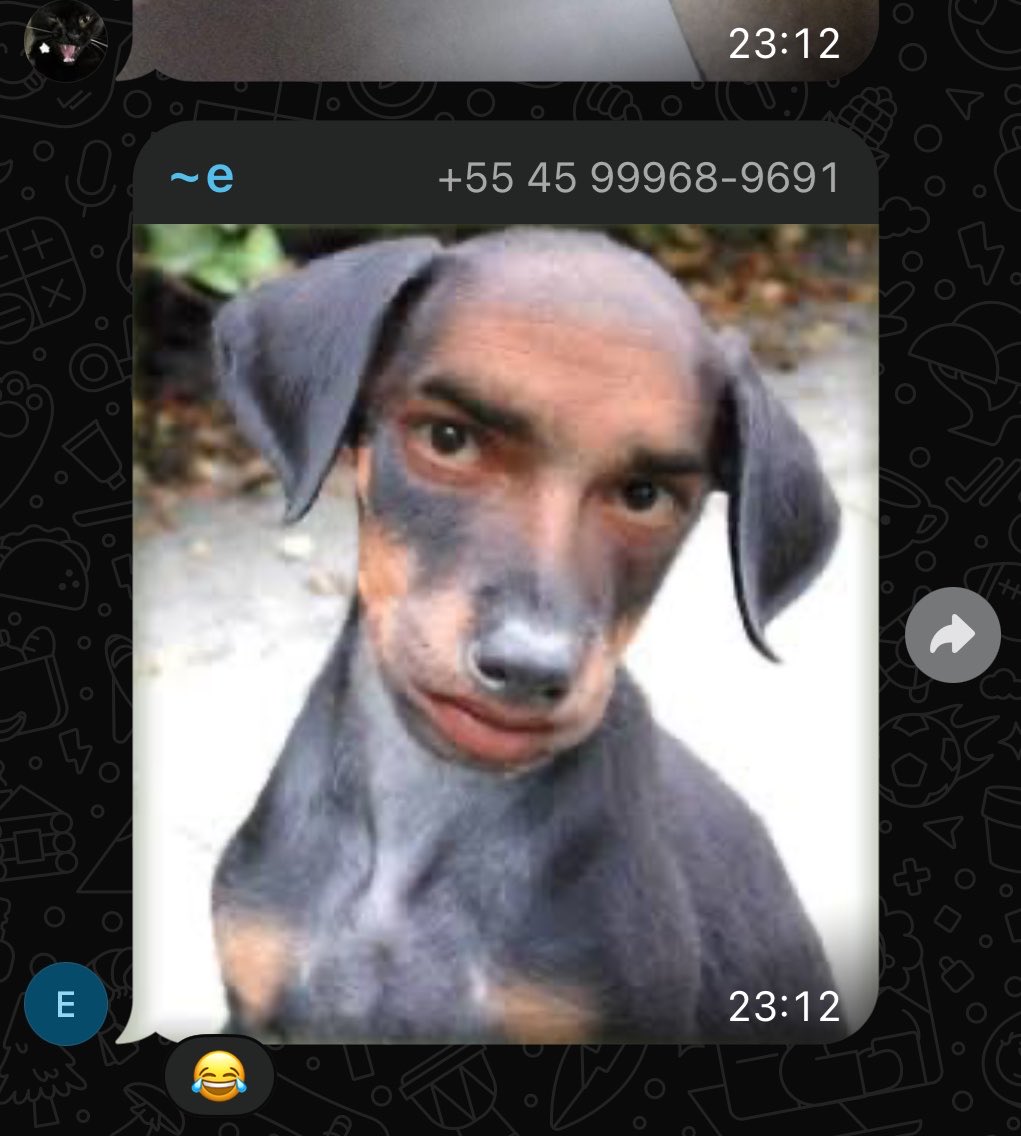 leobarc0's tweet photo. viado isso nao existe https://t.co/xhI2OgySrc