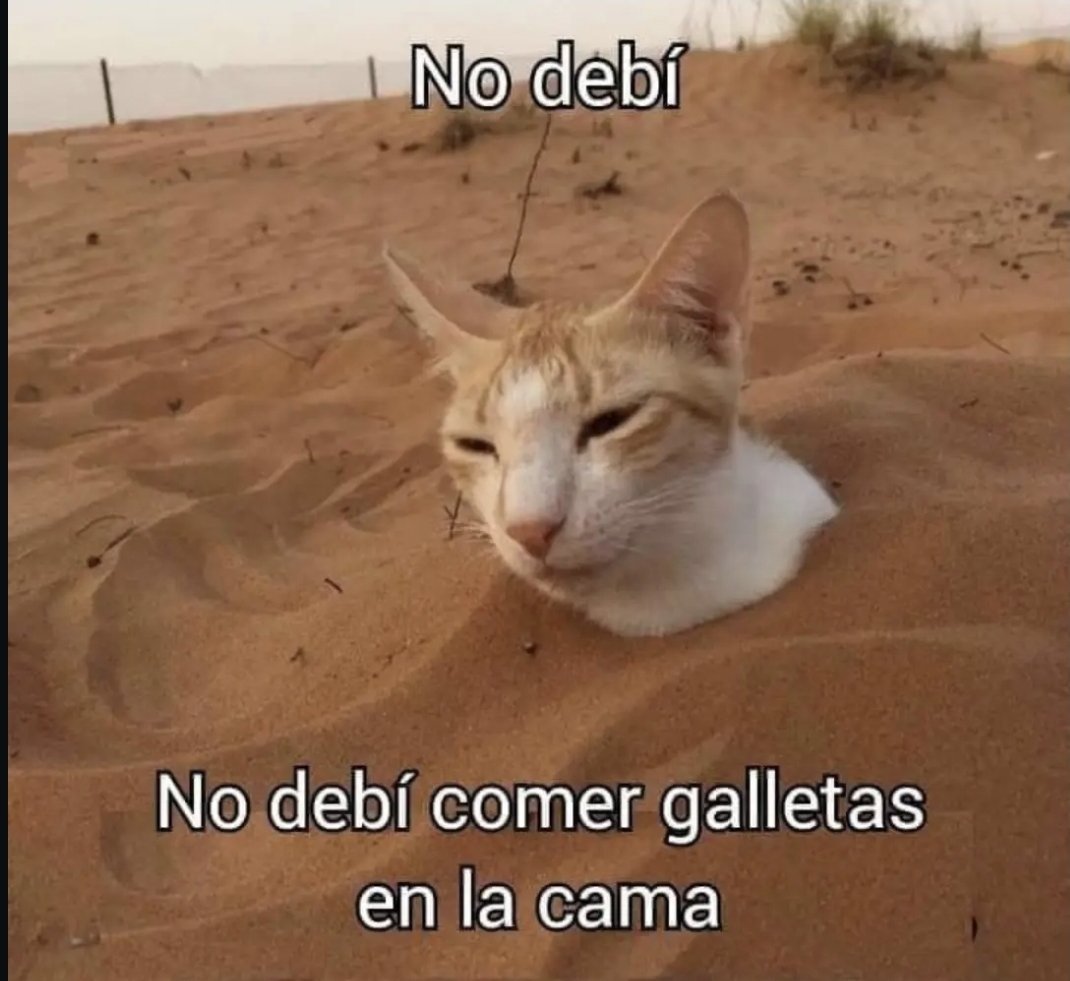 _Oxtsu's tweet photo. —Decidió llevarse el resto de galletas que le había preparado Lara a la cama y...— https://t.co/ntrR1pl6YS