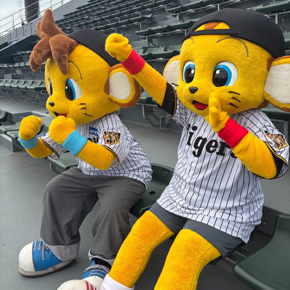 Tigers_farm's tweet photo. M1‼️今日も全力で応援しましょう📣✨
#阪神タイガース
#M1
#コラッキー
#キー太 https://t.co/skNv7cSnxe