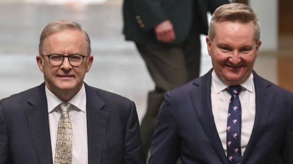 naniayourbusine's tweet photo. Once the election is over , these two will be the first arrested and charged with treason , followed by Burke wells and faruqie
#arrestthem
#deportthem
#treason https://t.co/m5Q5J2wT3D